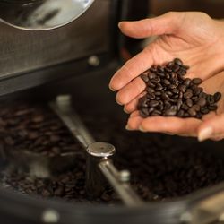 Geröstete Bohnen des Kaffeeland Hainisch