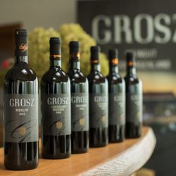 Kollektion von Rotweinen des Weingut Grosz
