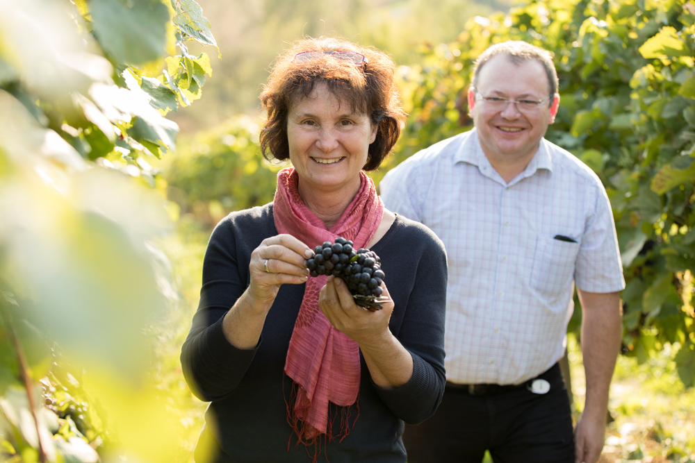 Herr und Frau Kleber im Weingarten